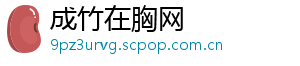 成竹在胸网